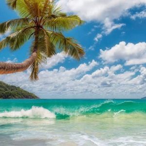 Meet your Posher, Christy